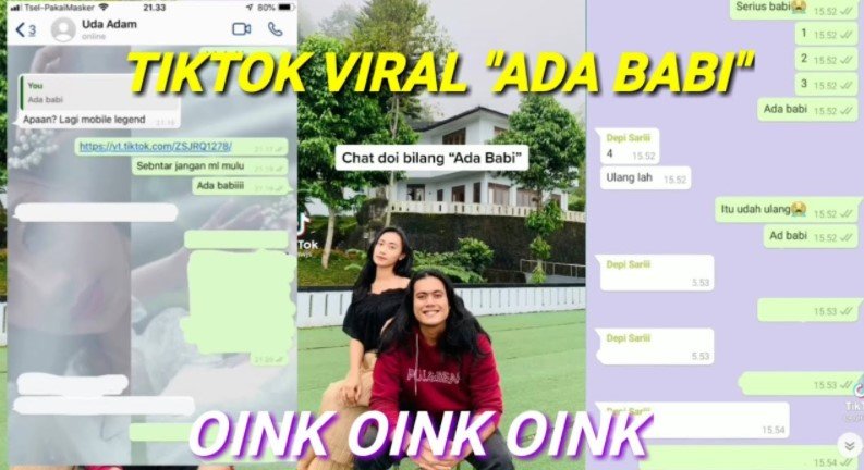 Ada Babi TikTok Ada Babi TikTok